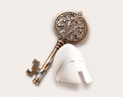 Support_Programmes_images_IITY