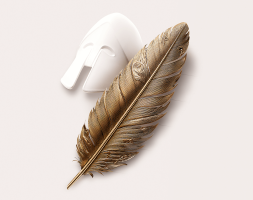 Support_Programmes_images_SYS